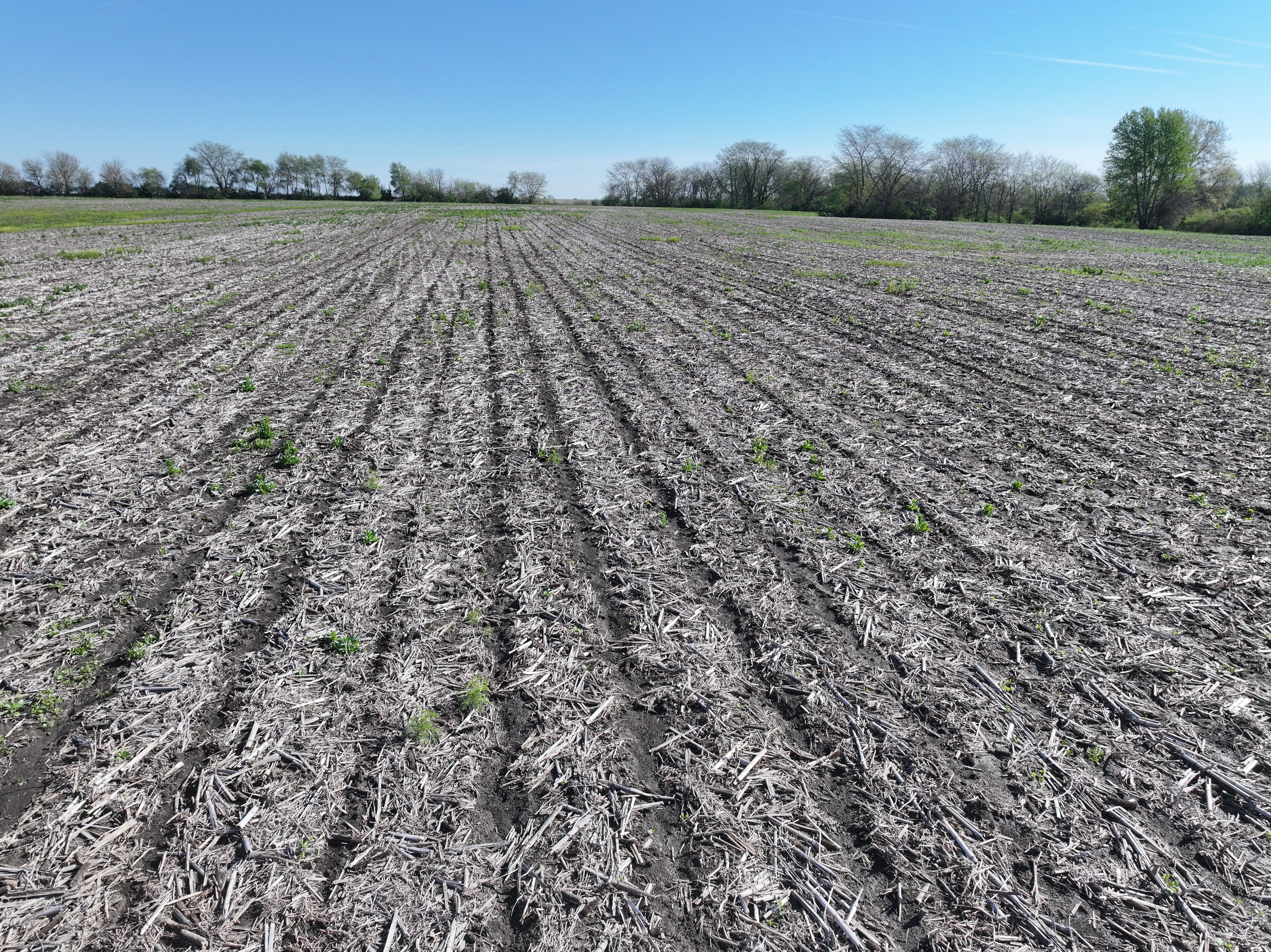 Listing Photo: DJI_20260420091013_0174_D (1)